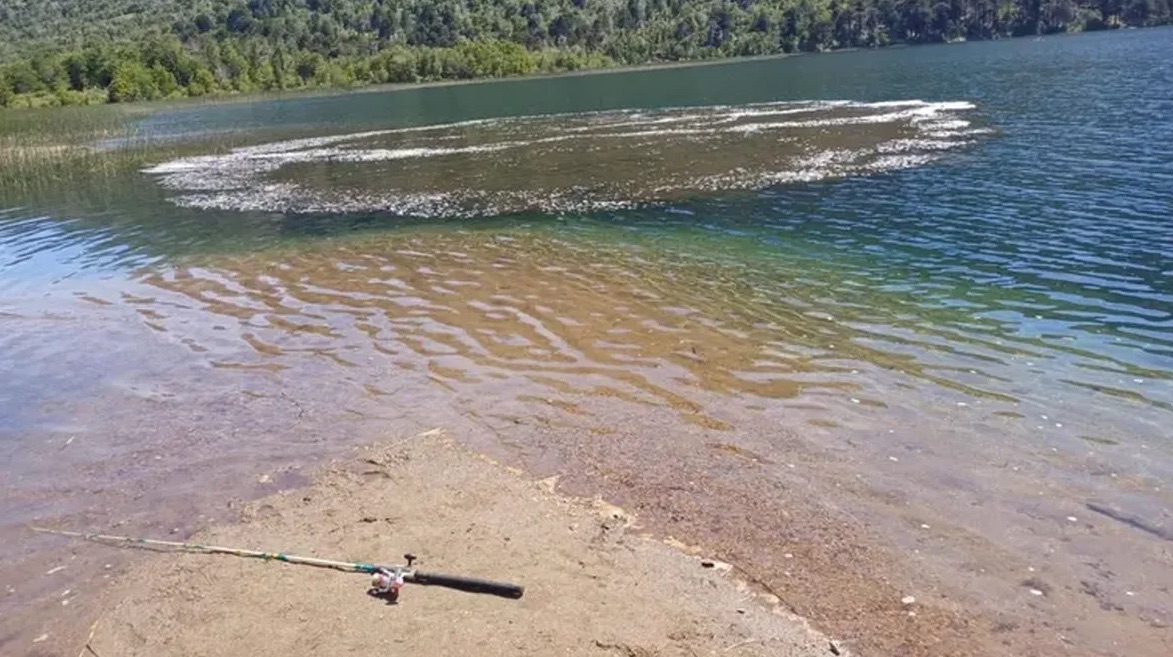Misterioso fenómeno en un lago de Neuquén: Científicos vs. «la manta del diablo»