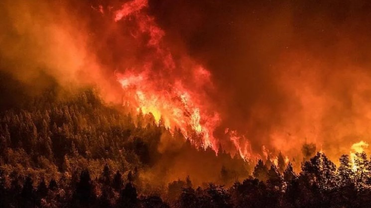 Incendios en la Patagonia: miles de hectáreas afectadas y preocupación por su propagación