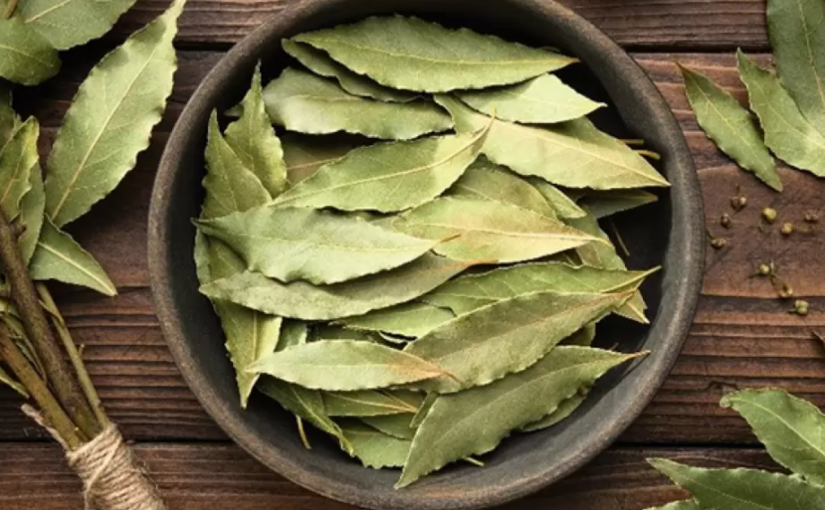 ¿Dónde poner las hojas de laurel para atraer la abundancia?