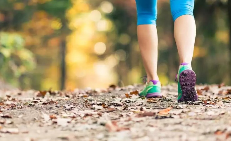 Cuántas cuadras son los 10.000 pasos que son los que hay que caminar por día