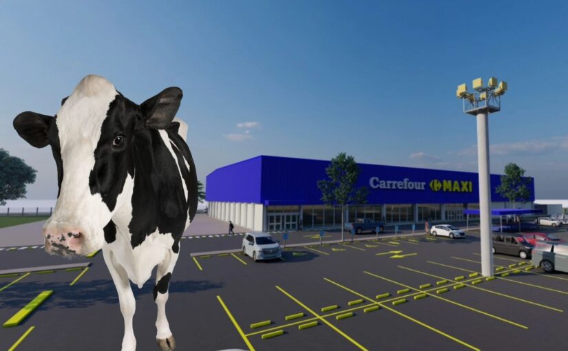Concejo de Santa Rosa aprueba excepción para la instalación de Carrefour Maxi en terrenos de la Agrícola