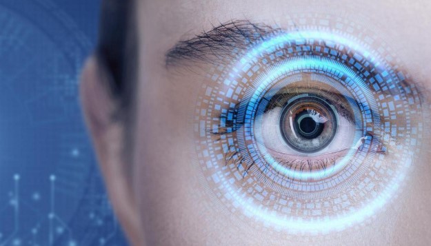 Escaneaban los ojos «para verificar si son seres humanos o robots»: dos detenidos en Santa Rosa