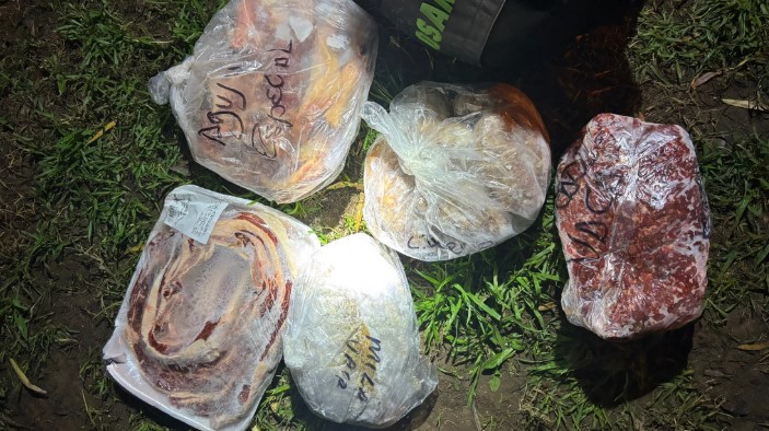 Detenido in fraganti: Intentó robar carne de un freezer en el norte de Santa Rosa