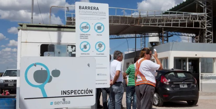 La Justicia prohíbe el ingreso de carne con hueso a la Patagonia