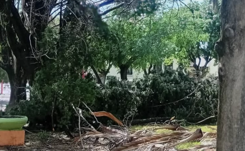 Temporal de viento y lluvia causó daños y un incendio en el sur pampeano