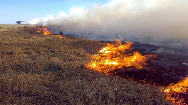 Defensa Civil controló 40 incendios en La Pampa desde el inicio de la temporada