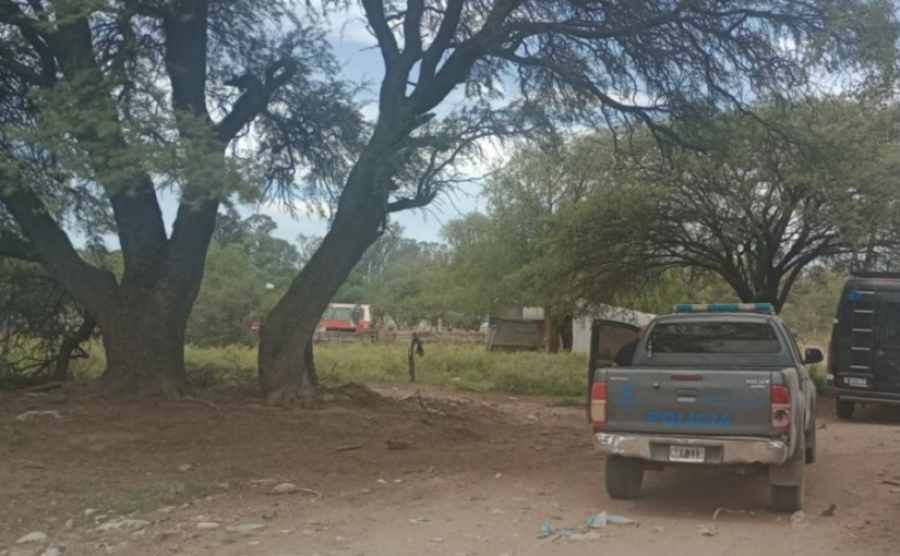 Denuncia por robo y ataque en El Amanecer: un herido y ocho lechones muertos